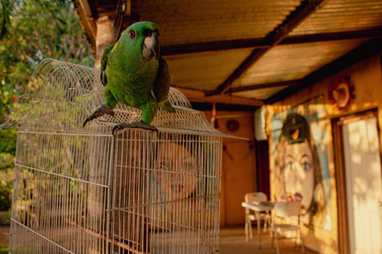 La Casa Del Artista Apartment Esquipulas Luaran gambar